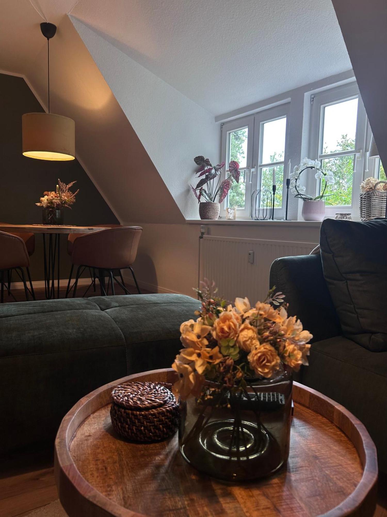 4 Wunderschoene Ferienwohnungen Im Kavaliershaus Schwerin  Exteriör bild