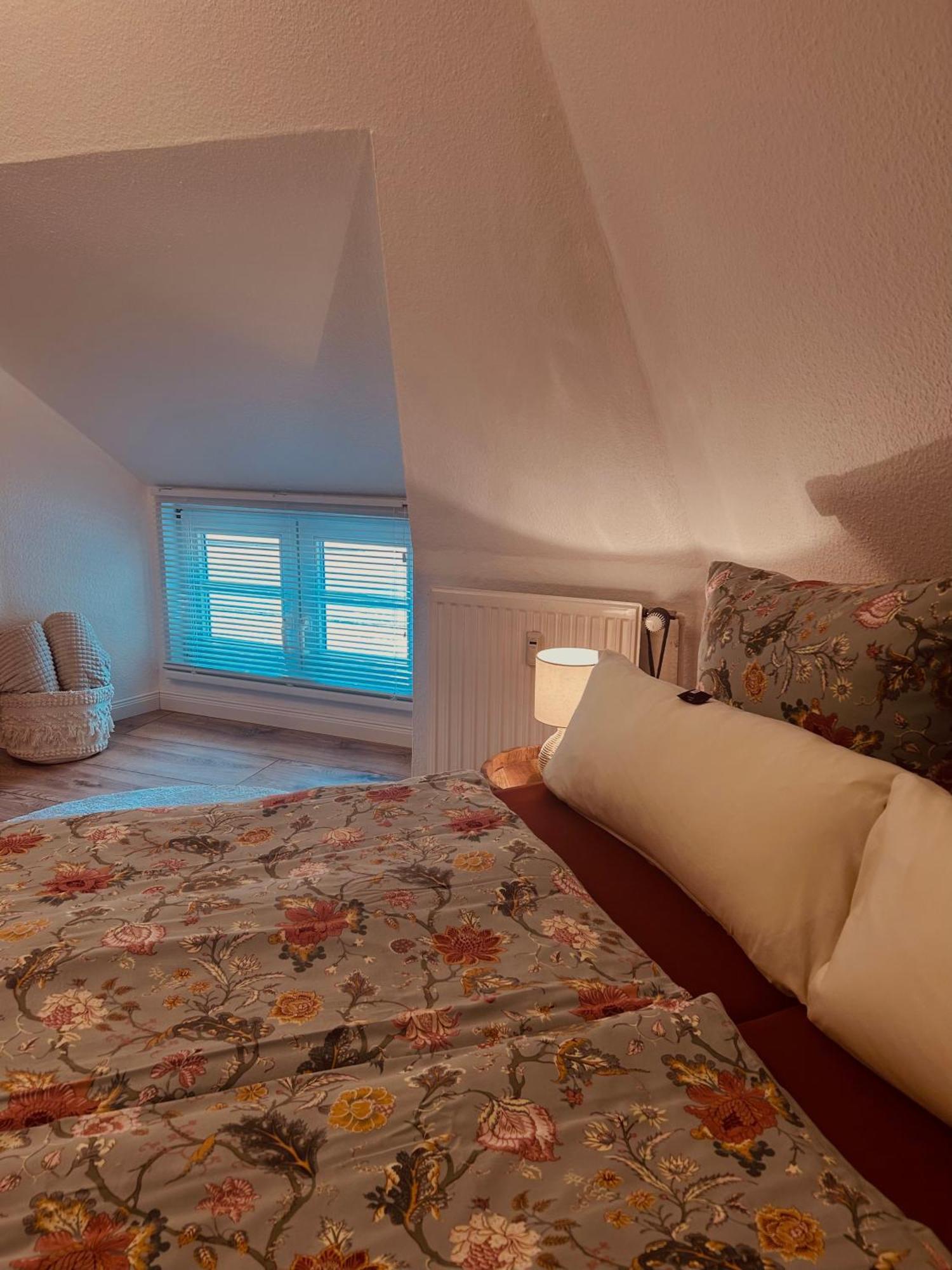 4 Wunderschoene Ferienwohnungen Im Kavaliershaus Schwerin  Exteriör bild